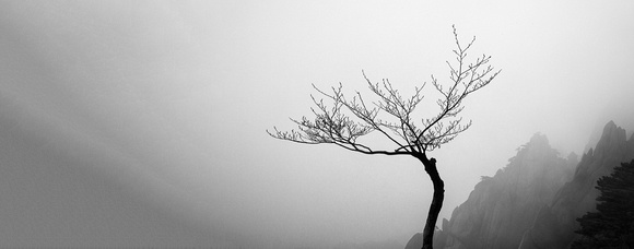 _MG_7847-Edit-Edit-Edit_2